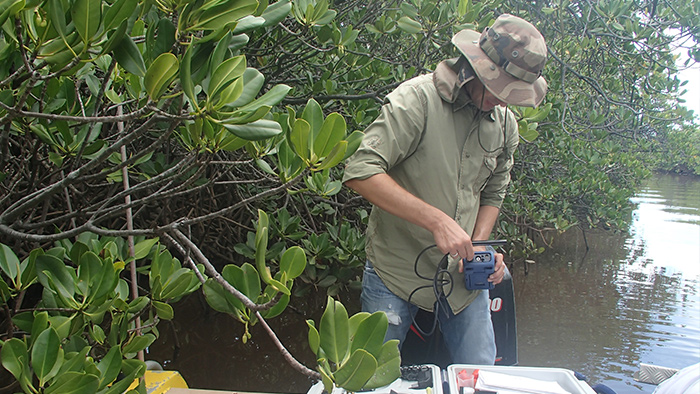 Exemple de mesures in situ de pH et conductivité dans l’un des sites mangrove du transect Coco