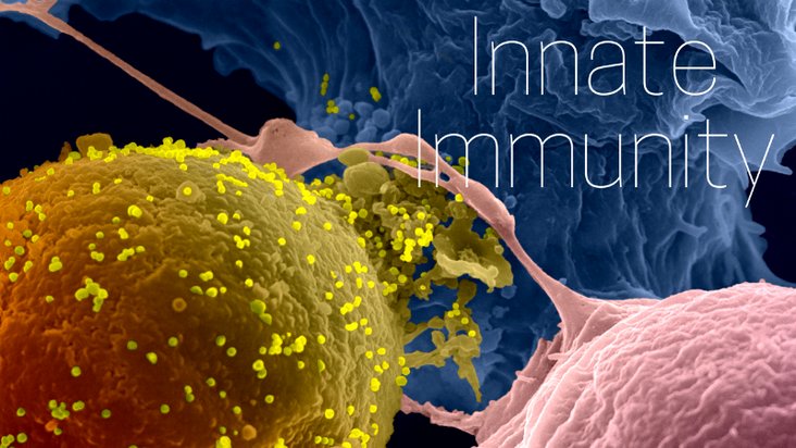 MOOC Innate Immunity - Institut Pasteur