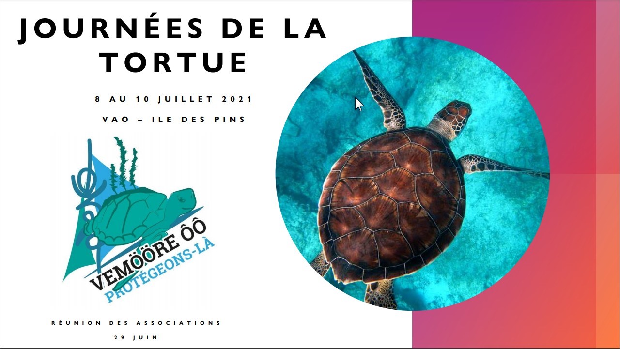 Journées de la tortue