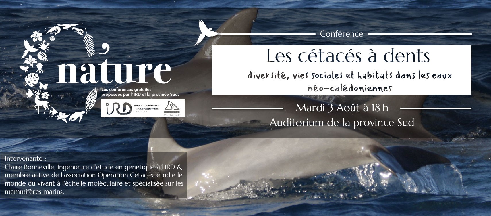 conférence affiche
