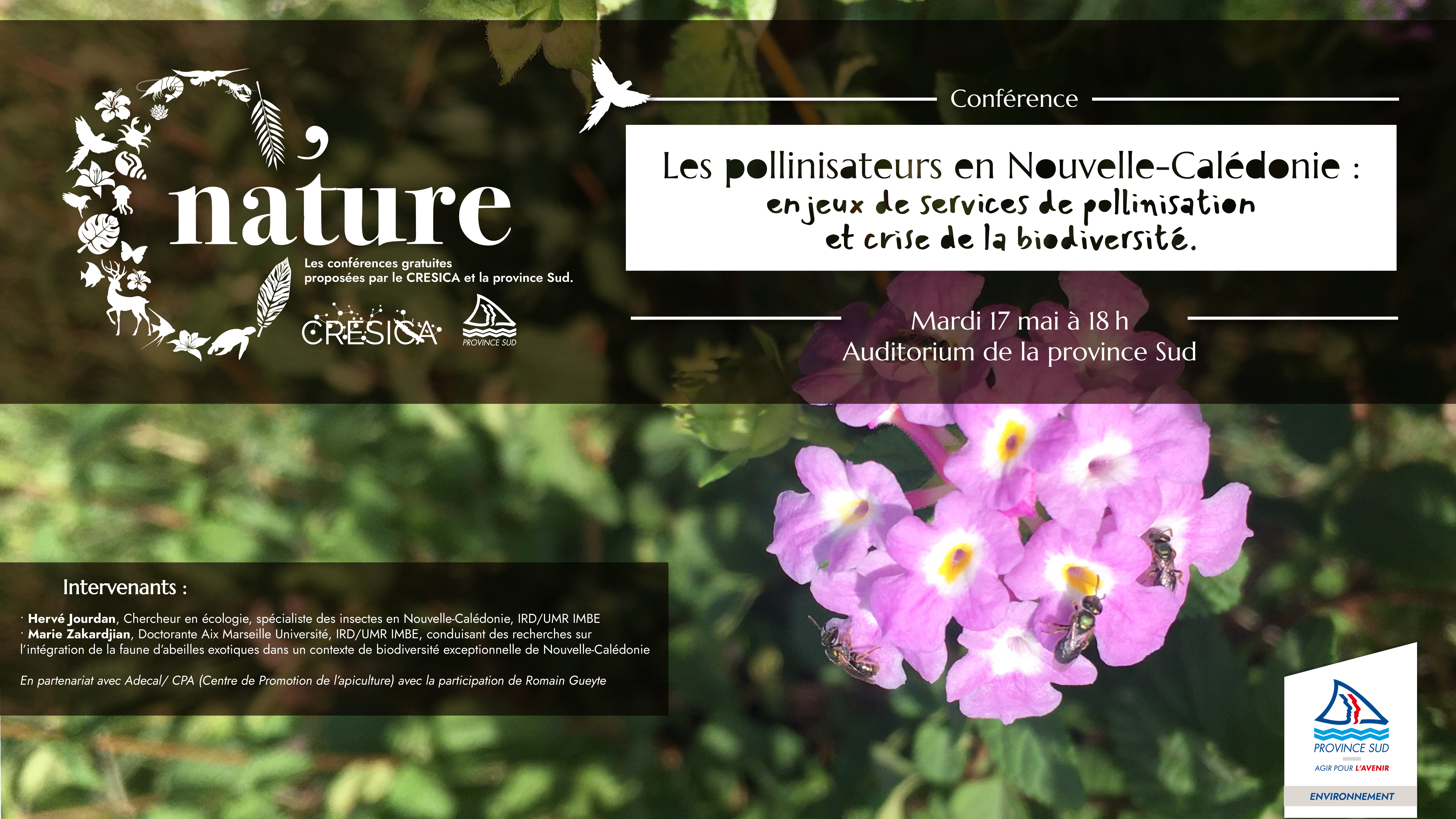 C'Nature pollinisateurs