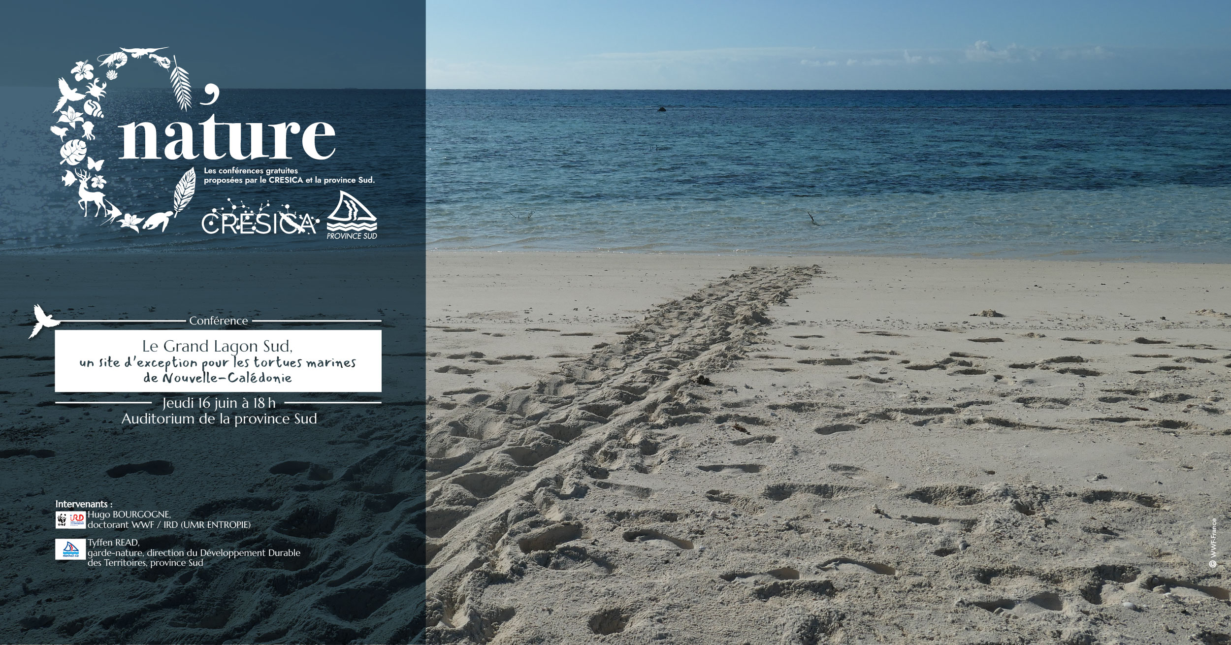 C'Nature tortues