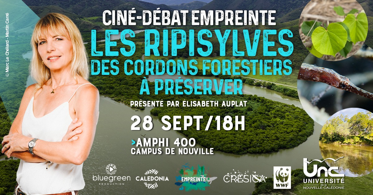 Affiche ripisylves