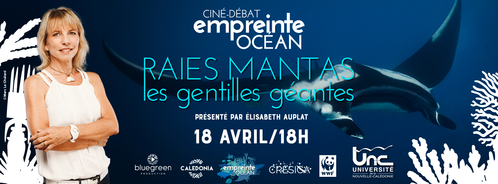 Affiche raies manta