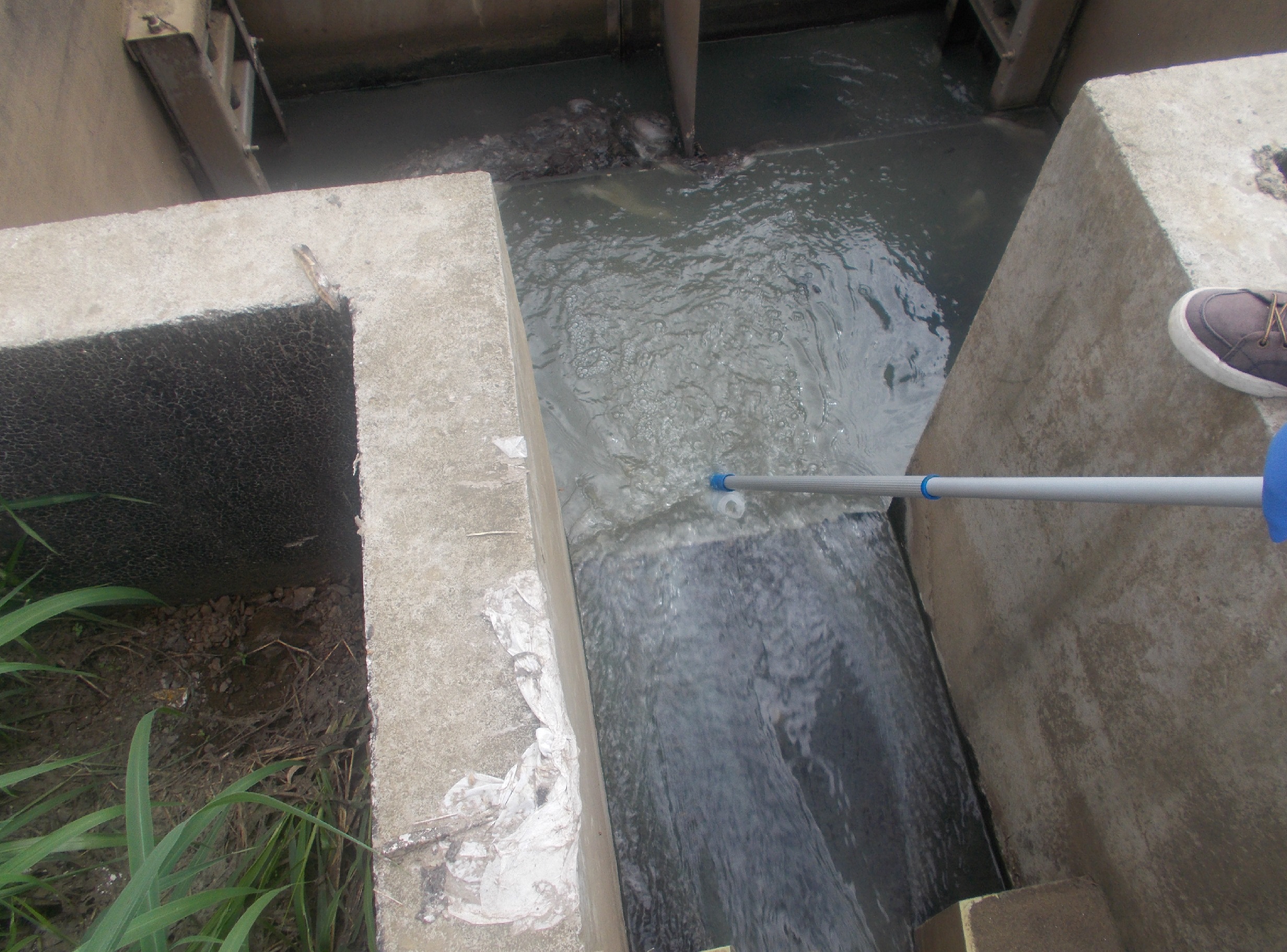 chantillonnage d’Eaux usées, Lagunage de Paiamboué, Koné © Bourles Alexandre