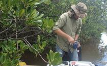 Exemple de mesures in situ de pH et conductivité dans l’un des sites mangrove du transect Coco