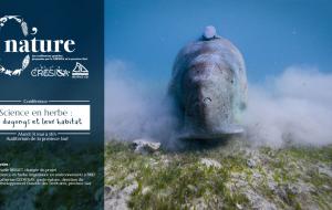 Affiche Dugongs