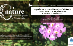 C'Nature pollinisateurs
