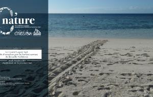 C'Nature tortues