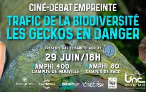 Affiche trafic de la biodiversité