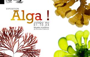 Affiche Algua !
