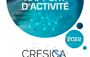 affiche rapport activité cresica